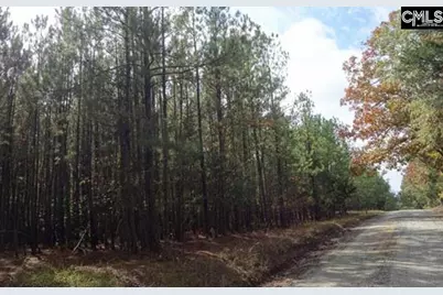 Tract 6 Buzhardt Road #Tract 6, Pomaria, SC 29126 - Photo 4