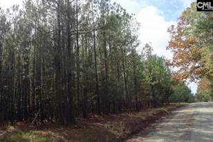 Tract 6 Buzhardt Rd, Pomaria, SC 29126 - Photo 4