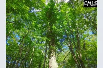 12 Deveaux Court #9 B/H, West Columbia, SC 29172 - Photo 1