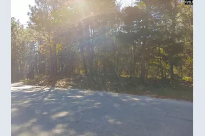 734 Pine Ridge Drive, West Columbia, SC 29172 - Photo 6