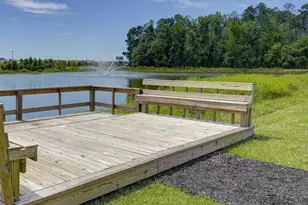 336 Babcock Wy, Gilbert, SC 29054 - Photo 54