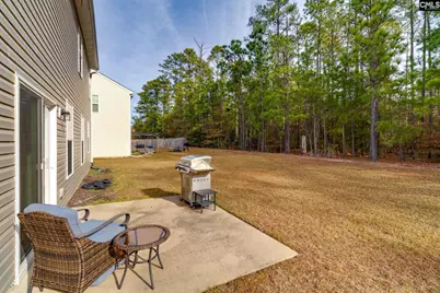 1133 Grey Pine Drive, Blythewood, SC 29016 - Photo 28