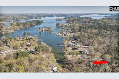 342 Green Garden Drive, Chapin, SC 29036 - Photo 10