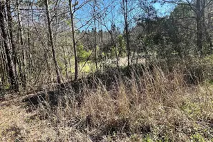 W S Wakefield Rd, Columbia, SC 29203 - Photo 1