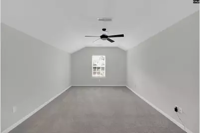 322 Drooping Leaf Road, Lexington, SC 29072 - Photo 34