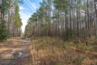 2070 Highway Church Road, Elgin, SC 29045 - Photo 12