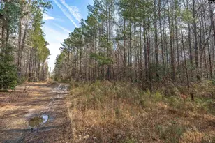 2070 Hwy Church Rd, Elgin, SC 29045 - Photo 12