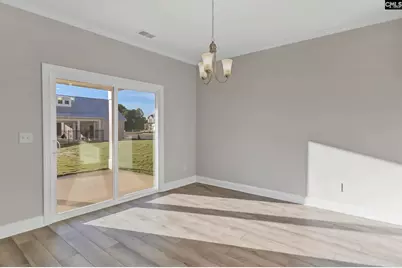 611 Thunder Gulch Avenue, Lexington, SC 29073 - Photo 10
