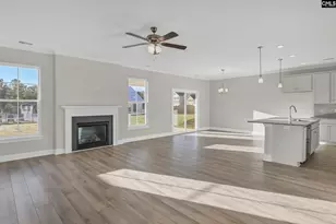 611 Thunder Gulch Ave, Lexington, SC 29073 - Photo 4