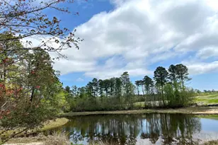 612 Thunder Gulch Ave, Lexington, SC 29073 - Photo 38
