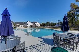 608 Thunder Gulch Ave, Lexington, SC 29073 - Photo 28