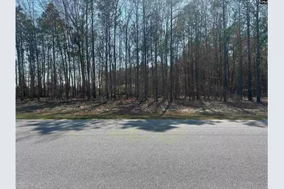 401 Inwood Street W, Bethune, SC 29009 - Photo 2