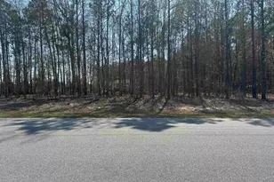 401 Inwood Street W, Bethune, SC 29009 - Photo 2