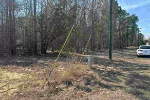 401 Inwood Street W, Bethune, SC 29009 - Photo 8