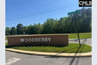 451 Woodberry Drive, Orangeburg, SC 29118 - Photo 18