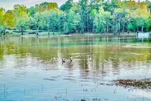 242 Morninglow Dr, Winnsboro, SC 29180 - Photo 80