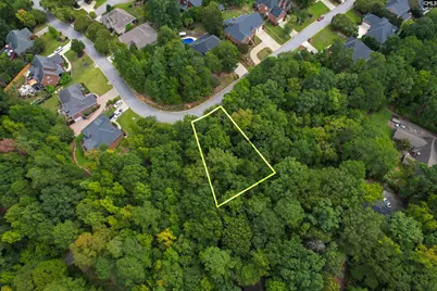 329 Old Wood Drive, Columbia, SC 29212 - Photo 16