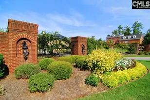 329 Old Wood Dr, Columbia, SC 29212 - Photo 22