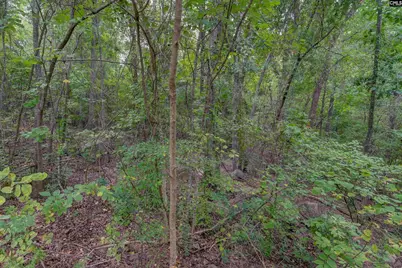 329 Old Wood Drive, Columbia, SC 29212 - Photo 10