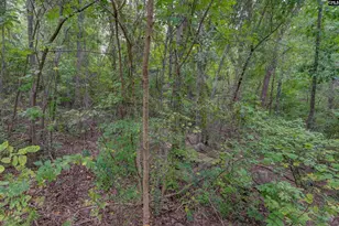 329 Old Wood Dr, Columbia, SC 29212 - Photo 10