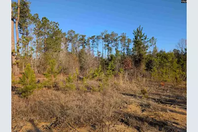 7884 Winnsboro Road #4, Columbia, SC 29203 - Photo 2