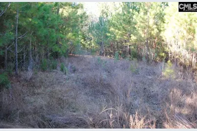 E/S Old Hilton Road, Chapin, SC 29036 - Photo 6