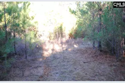 E/S Old Hilton Road, Chapin, SC 29036 - Photo 4
