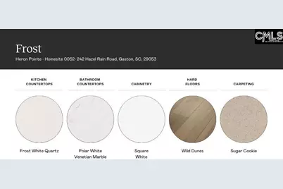 242 Hazel Rain Road, Gaston, SC 29053 - Photo 4