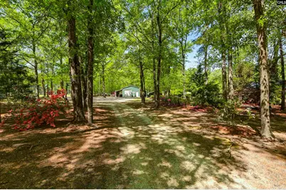 560 Beaver Creek Road, Swansea, SC 29160 - Photo 50