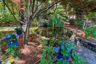 560 Beaver Creek Rd, Swansea, SC 29160 - Photo 54