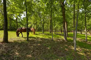 1305 Rock Island Rd, Gilbert, SC 29054 - Photo 58