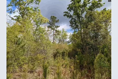 2206 Highway 1, Elgin, SC 29045 - Photo 14