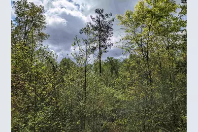 2206 Highway 1, Elgin, SC 29045 - Photo 18