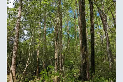 2206 Highway 1, Elgin, SC 29045 - Photo 22