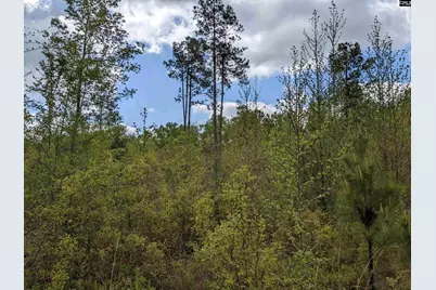 2206 Highway 1, Elgin, SC 29045 - Photo 2