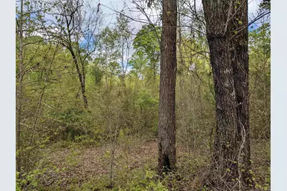 2206 Highway 1, Elgin, SC 29045 - Photo 8