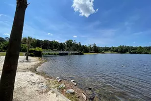 465 Henslowe Ln, West Columbia, SC 29170 - Photo 64