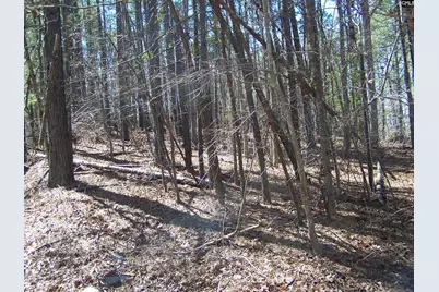 305 - 321 Dubard Boyle Road Lots#18-22, Columbia, SC 29203 - Photo 8