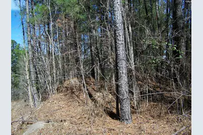 305 - 321 Dubard Boyle Road Lots#18-22, Columbia, SC 29203 - Photo 10