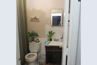 1010 Calvary Church Road, Norway, SC 29107 - Photo 12