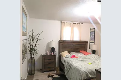 1010 Calvary Church Road, Norway, SC 29107 - Photo 14