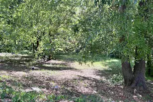 6726 E Peach Rd, Ridgeway, SC 29130 - Photo 2