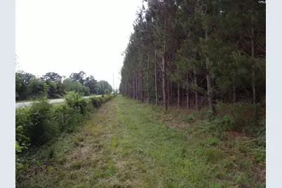 0 McCormick Highway, Saluda, SC 29138 - Photo 6