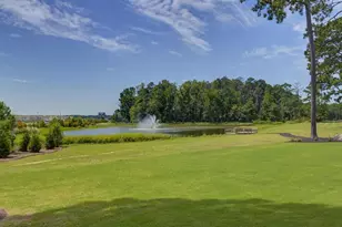 344 Babcock Wy, Gilbert, SC 29054 - Photo 2