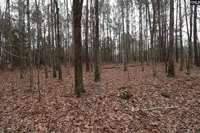 Lot 229 Granny Hill Road #229, Prosperity, SC 29127 - Photo 58