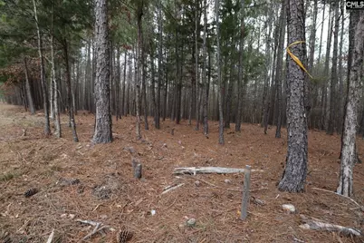 Lot 229 Granny Hill Road #229, Prosperity, SC 29127 - Photo 46