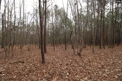 Lot 229 Granny Hill Road #229, Prosperity, SC 29127 - Photo 52