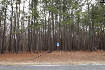 Lot 229 Granny Hill Road #229, Prosperity, SC 29127 - Photo 38