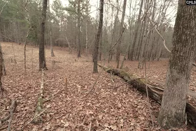 Lot 229 Granny Hill Road #229, Prosperity, SC 29127 - Photo 60