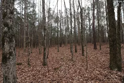 Lot 229 Granny Hill Road #229, Prosperity, SC 29127 - Photo 56